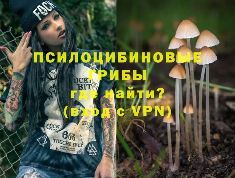 Псилоцибиновые грибы MAGIC MUSHROOMS  Бугуруслан 